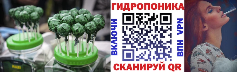купить закладку  Элиста  кракен маркетплейс  Canna-Cookies марихуана 
