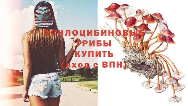 марихуана Абаза