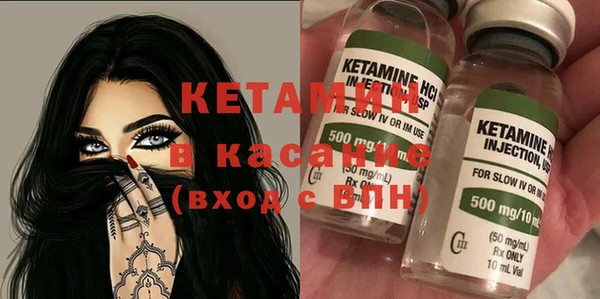 сатива Абинск