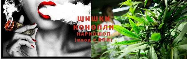 сатива Абинск