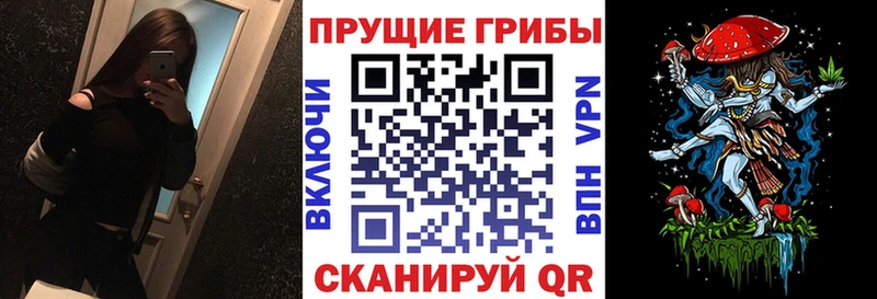 Псилоцибиновые грибы Magic Shrooms Элиста
