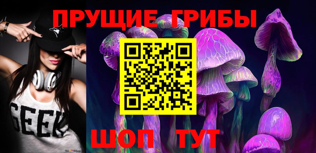 Элиста  Галлюциногенные грибы Psilocybine cubensis  Вход с VPN 