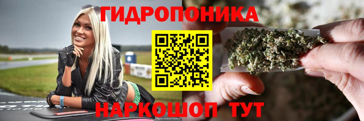 Бошки марихуана планчик  Вход с VPN  Канабис план  Элиста  Шишки марихуана ГИДРОПОН 
